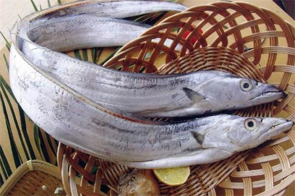 什么人不適合吃帶魚 帶魚哪些人不能吃 什么人不適合吃帶魚 帶魚哪些人不能吃