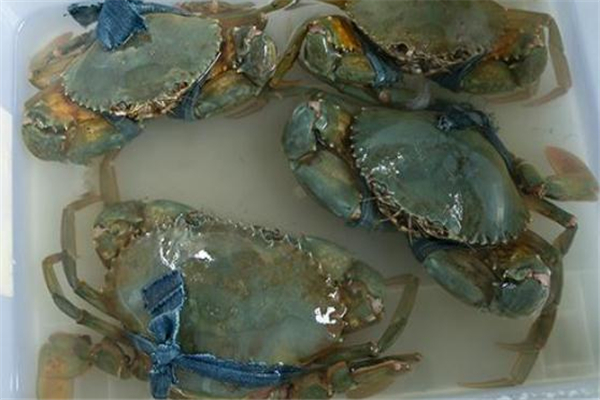 怎么看青蟹有沒(méi)有膏 青蟹什么時(shí)候膏最多 怎么看青蟹有沒(méi)有膏 青蟹什么時(shí)候膏最多