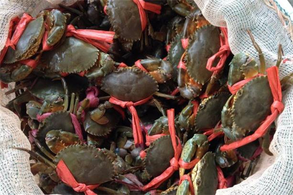 青蟹和榴蓮能一起吃嗎 盡量少吃一些 青蟹和榴蓮能一起吃嗎 盡量少吃一些