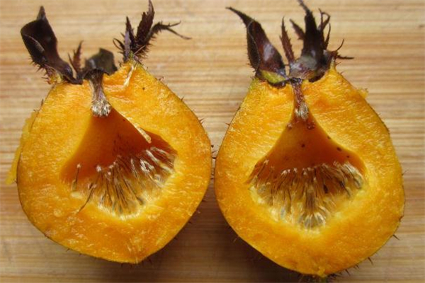 野生刺梨的功效與作用 野生刺梨怎么吃 野生刺梨的功效與作用 野生刺梨怎么吃