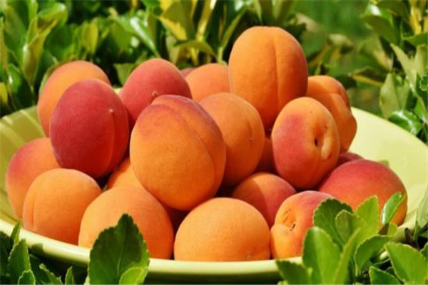 夏天桃子怎么保鮮 夏天桃子怎么保鮮好 夏天桃子怎么保鮮 夏天桃子怎么保鮮好