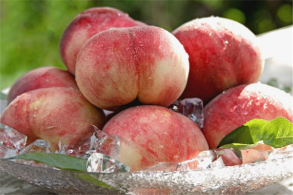 夏天桃子能放幾天 夏天桃子這樣放比較好 夏天桃子能放幾天 夏天桃子這樣放比較好