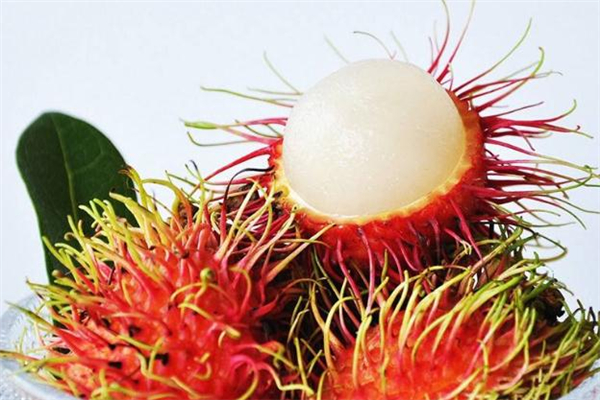 哺乳期可以吃紅毛丹嗎 哺乳期吃紅毛丹會回奶嗎 哺乳期可以吃紅毛丹嗎 哺乳期吃紅毛丹會回奶嗎