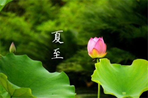 夏至為什么要吃苦瓜 夏至吃苦瓜的作用 夏至為什么要吃苦瓜 夏至吃苦瓜的作用