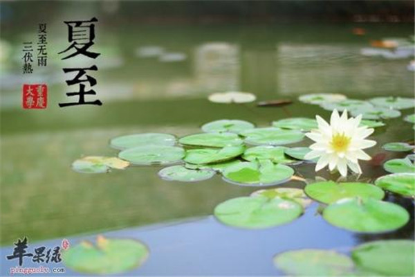 夏至為什么要吃苦瓜 夏至吃苦瓜的作用 夏至為什么要吃苦瓜 夏至吃苦瓜的作用