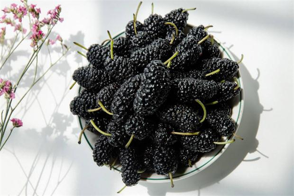 桑葚和玉米須能一起泡水喝嗎 功效非常多 桑葚和玉米須能一起泡水喝嗎 功效非常多