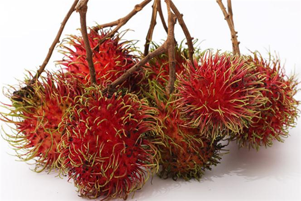 紅毛丹和螃蟹可以一起吃嗎 紅毛丹和螃蟹同吃的好處 紅毛丹和螃蟹可以一起吃嗎 紅毛丹和螃蟹同吃的好處