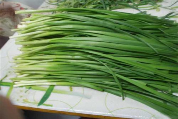 夏天能吃韭菜嗎 夏天吃韭菜好嗎 夏天能吃韭菜嗎 夏天吃韭菜好嗎