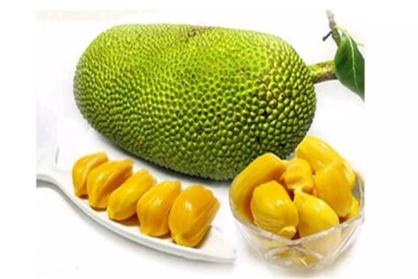 菠蘿蜜有點(diǎn)臭味正常嗎 菠蘿蜜有味道正常嗎 菠蘿蜜有點(diǎn)臭味正常嗎 菠蘿蜜有味道正常嗎
