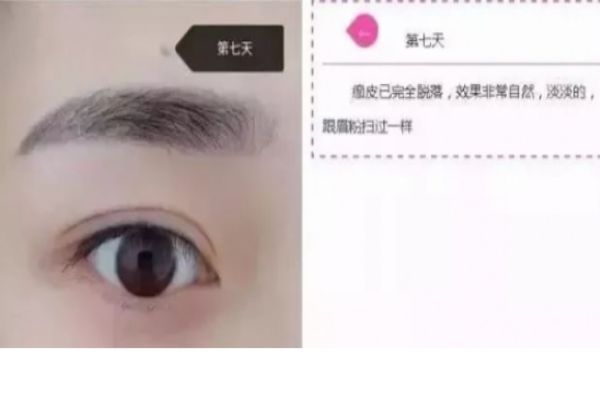 紋眉幾天會變細 紋眉七天的變化 紋眉幾天會變細 紋眉七天的變化