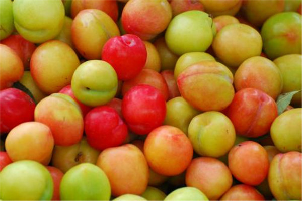 高血壓能喝李子酒嗎 李子酒好嗎 高血壓能喝李子酒嗎 李子酒好嗎