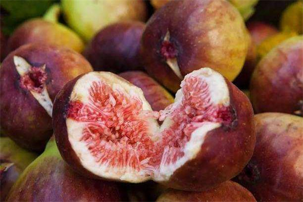 無花果里面的籽能吃嗎 無花果的籽是寄生蟲嗎 無花果里面的籽能吃嗎 無花果的籽是寄生蟲嗎