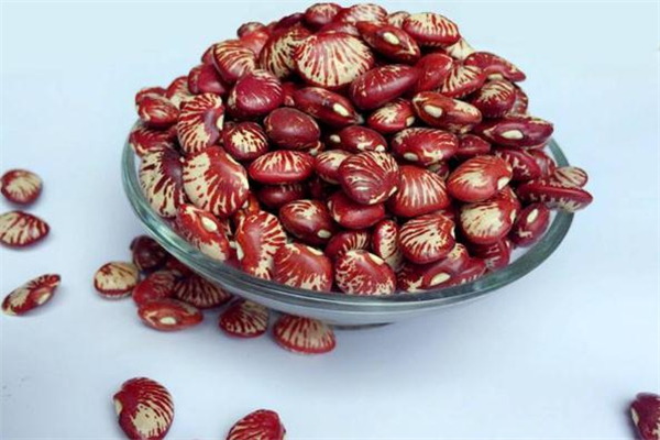 孕婦能吃花豆嗎 孕婦吃花豆的好處 孕婦能吃花豆嗎 孕婦吃花豆的好處