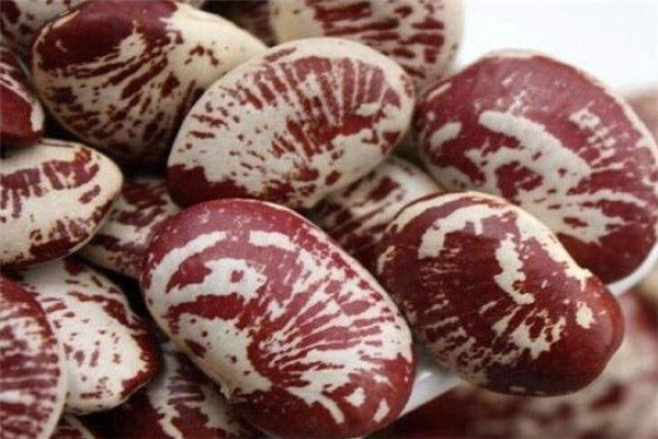 孕婦能吃花豆嗎 孕婦吃花豆的好處 孕婦能吃花豆嗎 孕婦吃花豆的好處