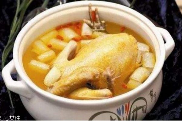 雞湯什么時候喝最好 雞湯什么時候喝最有營養(yǎng) 雞湯什么時候喝最好 雞湯什么時候喝最有營養(yǎng)