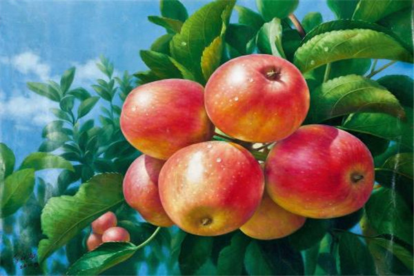 吃蘋果一天能瘦幾斤 蘋果的作用是什么 吃蘋果一天能瘦幾斤 蘋果的作用是什么