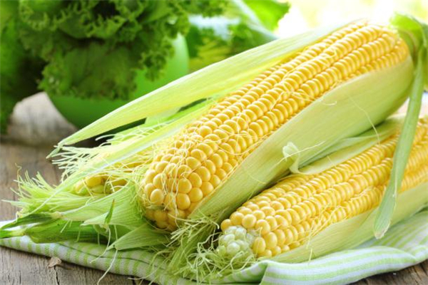 甜玉米和糯玉米哪個(gè)減肥效果好 玉米熱量分析 甜玉米和糯玉米哪個(gè)減肥效果好 玉米熱量分析