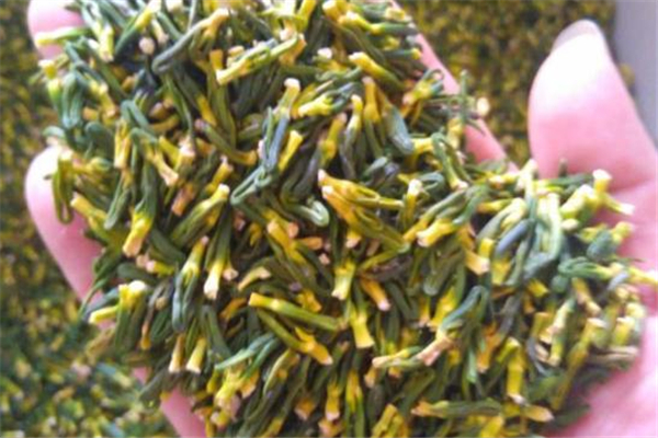 蓮子心泡水可以天天喝嗎 經(jīng)常喝蓮子心泡水好嗎 蓮子心泡水可以天天喝嗎 經(jīng)常喝蓮子心泡水好嗎