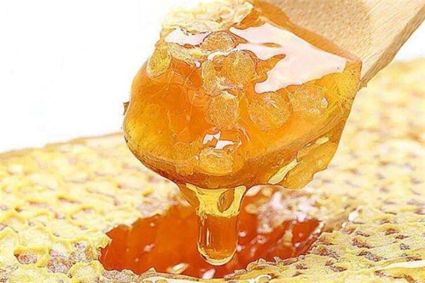 蜂蜜和雞蛋能一起吃嗎 蜂蜜和雞蛋相克嗎 蜂蜜和雞蛋能一起吃嗎 蜂蜜和雞蛋相克嗎