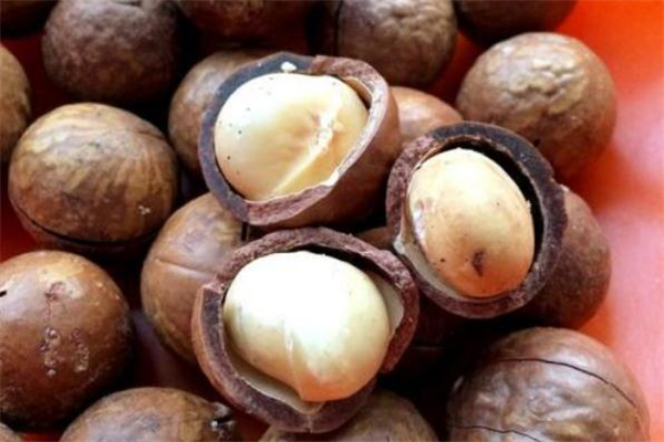 夏威夷果能放冰箱嗎 夏威夷果放冰箱潮了怎么辦 夏威夷果能放冰箱嗎 夏威夷果放冰箱潮了怎么辦