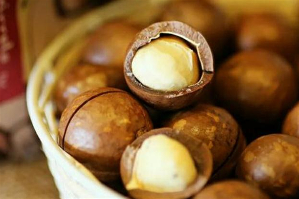 夏威夷果能放冰箱嗎 夏威夷果放冰箱潮了怎么辦 夏威夷果能放冰箱嗎 夏威夷果放冰箱潮了怎么辦