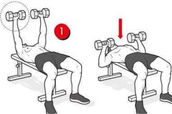 啞鈴平板臥推標準動作 啞鈴平板臥推動作要領(lǐng) 啞鈴平板臥推標準動作 啞鈴平板臥推動作要領(lǐng)