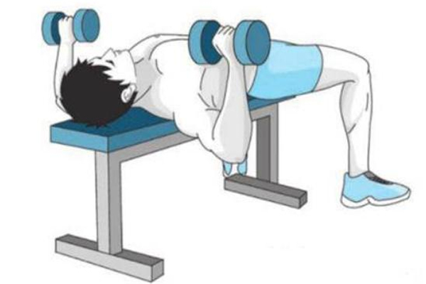 啞鈴平板臥推標準動作 啞鈴平板臥推動作要領(lǐng) 啞鈴平板臥推標準動作 啞鈴平板臥推動作要領(lǐng)
