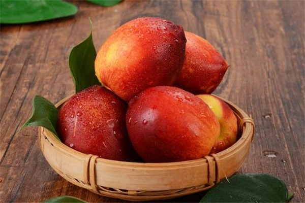 油桃榨汁需要去皮嗎 油桃榨汁需要加水嗎 油桃榨汁需要去皮嗎 油桃榨汁需要加水嗎