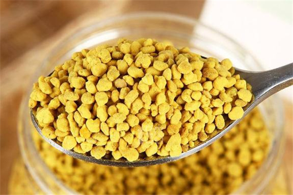 蜂花粉可以長(zhǎng)期服用嗎 蜂花粉長(zhǎng)期吃有什么好處 蜂花粉可以長(zhǎng)期服用嗎 蜂花粉長(zhǎng)期吃有什么好處