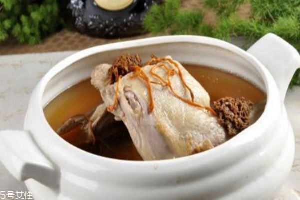 孕婦可以喝田七海馬燉童子雞湯嗎 田七海馬燉童子雞湯做法 孕婦可以喝田七海馬燉童子雞湯嗎 田七海馬燉童子雞湯做法