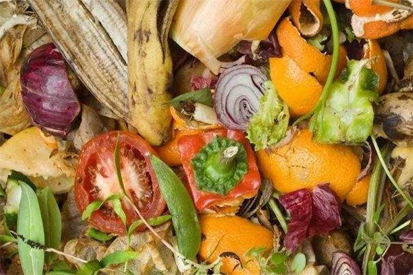 濕垃圾有哪些 濕的垃圾就是濕垃圾嗎 濕垃圾有哪些 濕的垃圾就是濕垃圾嗎