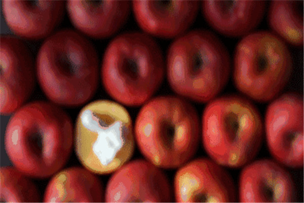 蘋果吃起來(lái)有酒味是怎么回事 蘋果有酒味是壞了嗎