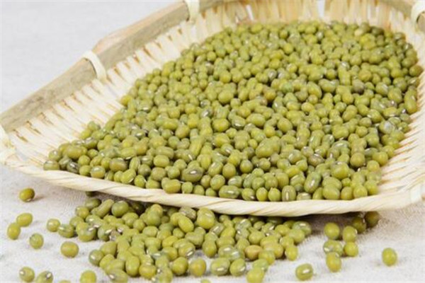 綠豆放在水里幾天能發(fā)芽 綠豆放水里會發(fā)芽嗎 綠豆放在水里幾天能發(fā)芽 綠豆放水里會發(fā)芽嗎