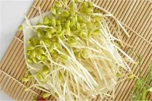綠豆芽是豆制品嗎 綠豆芽是不是發(fā)物 綠豆芽是豆制品嗎 綠豆芽是不是發(fā)物