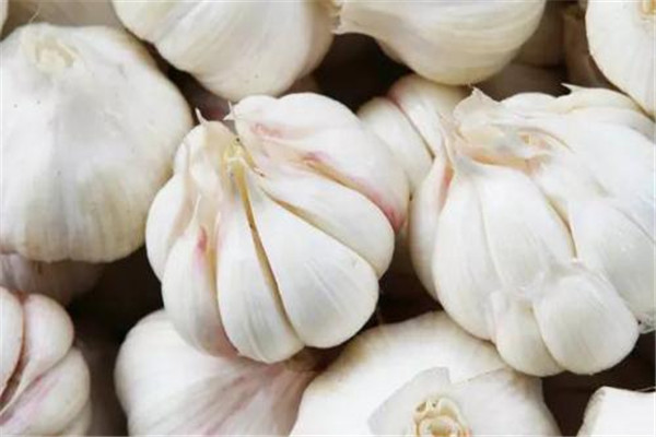 大蒜吃多了會(huì)上火嗎 大蒜能多吃嗎 大蒜吃多了會(huì)上火嗎 大蒜能多吃嗎