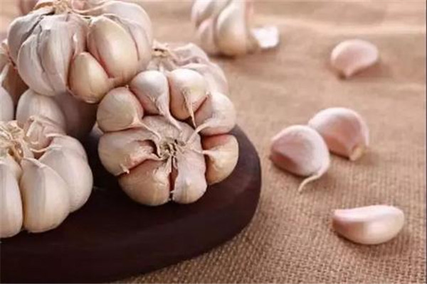 大蒜吃多了會(huì)上火嗎 大蒜能多吃嗎 大蒜吃多了會(huì)上火嗎 大蒜能多吃嗎