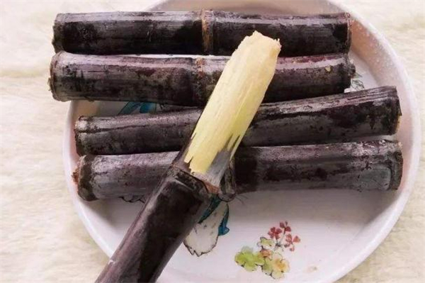 甘蔗渣是什么垃圾 吃過的甘蔗是什么垃圾 甘蔗渣是什么垃圾 吃過的甘蔗是什么垃圾
