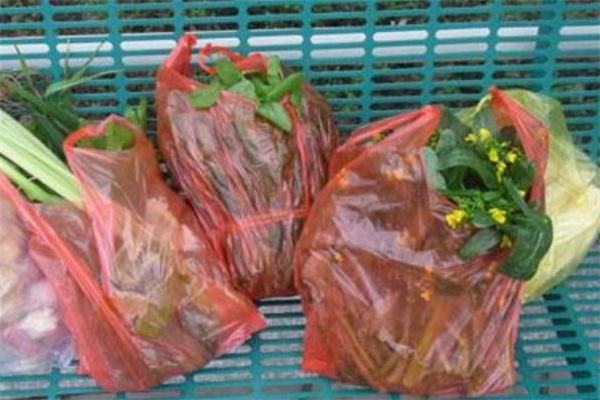 濕垃圾袋是什么垃圾 受污染的垃圾袋是什么垃圾 濕垃圾袋是什么垃圾 受污染的垃圾袋是什么垃圾