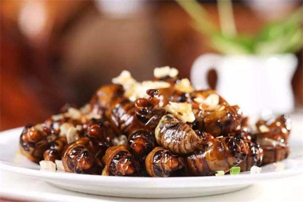 知了猴一次吃幾個(gè)最好 知了猴一次最多吃幾個(gè) 知了猴一次吃幾個(gè)最好 知了猴一次最多吃幾個(gè)