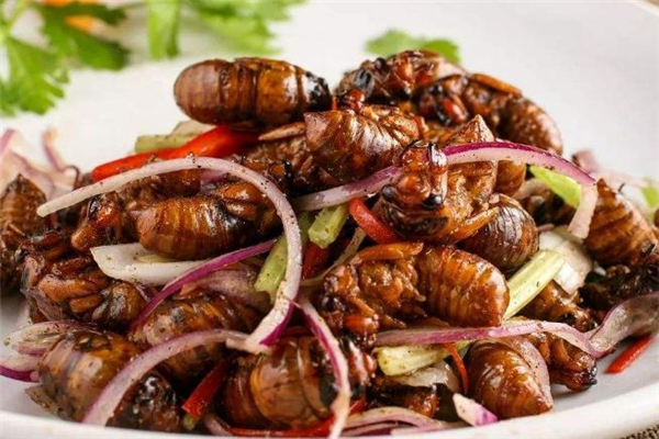 男人吃知了猴補(bǔ)腎嗎 男人吃知了猴有什么好處 男人吃知了猴補(bǔ)腎嗎 男人吃知了猴有什么好處