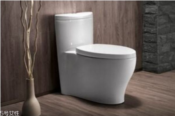 蹲坑和馬桶哪個好?哪個更健康 蹲坑和馬桶哪個好?哪個更健康