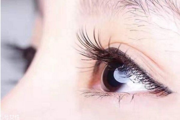 睫毛增長(zhǎng)液哪種好 讓睫毛快速變長(zhǎng)的睫毛增長(zhǎng)術(shù) 睫毛增長(zhǎng)液哪種好 讓睫毛快速變長(zhǎng)的睫毛增長(zhǎng)術(shù)