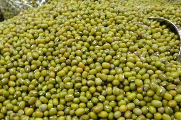 綠豆和海鮮可以一起吃嗎 吃了綠豆可以吃海鮮嗎 綠豆和海鮮可以一起吃嗎 吃了綠豆可以吃海鮮嗎