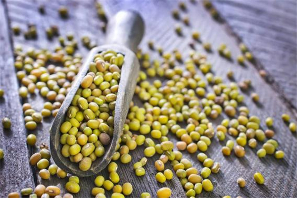 綠豆和海鮮可以一起吃嗎 吃了綠豆可以吃海鮮嗎 綠豆和海鮮可以一起吃嗎 吃了綠豆可以吃海鮮嗎