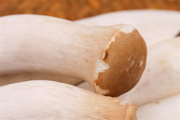 杏鮑菇可以生吃嗎 杏鮑菇吃生的有毒嗎 杏鮑菇可以生吃嗎 杏鮑菇吃生的有毒嗎