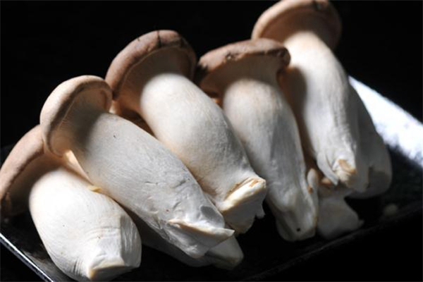 杏鮑菇可以生吃嗎 杏鮑菇吃生的有毒嗎 杏鮑菇可以生吃嗎 杏鮑菇吃生的有毒嗎