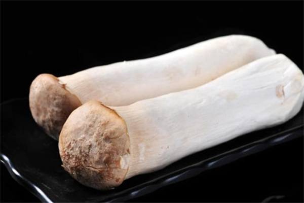 杏鮑菇可以生吃嗎 杏鮑菇吃生的有毒嗎 杏鮑菇可以生吃嗎 杏鮑菇吃生的有毒嗎