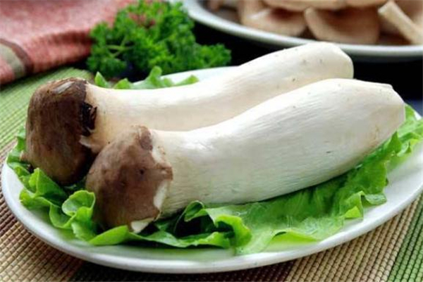 杏鮑菇怎么焯水 杏鮑菇不焯水有毒嗎 杏鮑菇怎么焯水 杏鮑菇不焯水有毒嗎