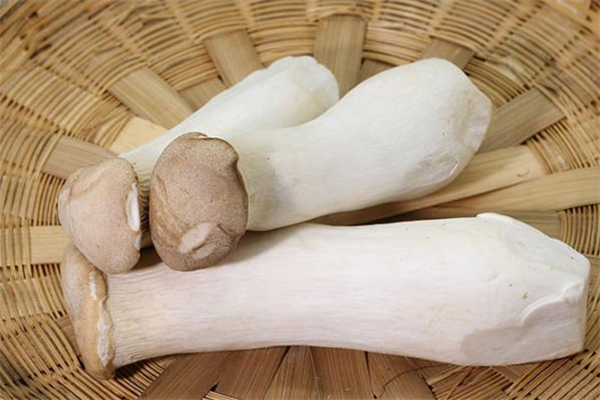 杏鮑菇需要去皮嗎 炒杏鮑菇要削皮嗎 杏鮑菇需要去皮嗎 炒杏鮑菇要削皮嗎