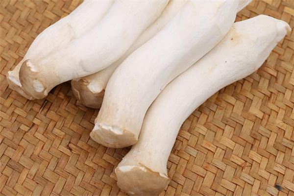 杏鮑菇和什么菜一起炒好吃 杏鮑菇和什么菜搭配好吃 杏鮑菇和什么菜一起炒好吃 杏鮑菇和什么菜搭配好吃